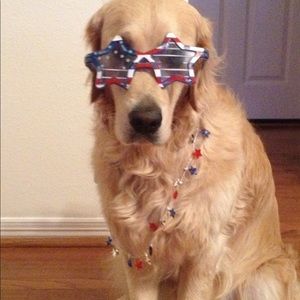 Meet your Posher, Kamela